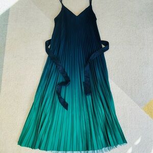 Banana Republic Green and Black Spaghetti StrapPleated Dress